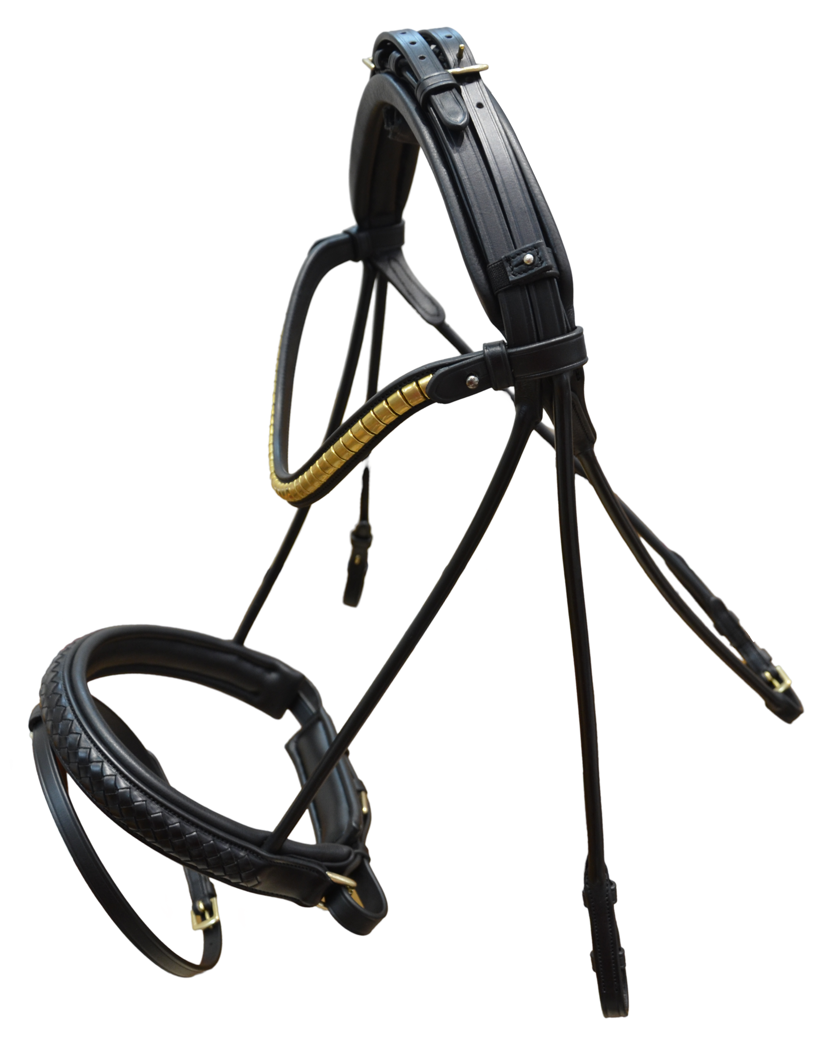Classic Bridle