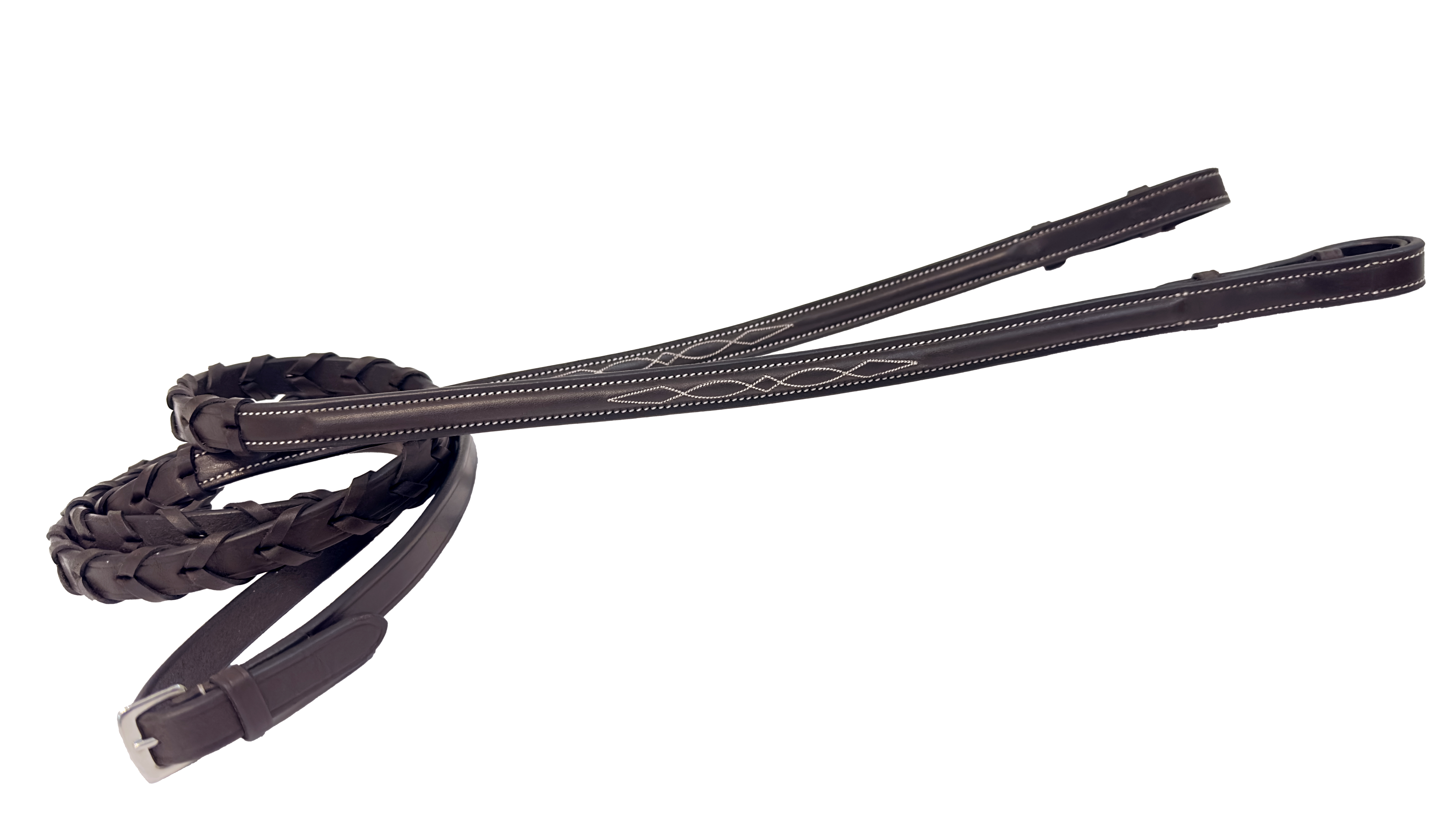 Reins